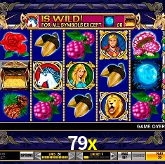 79x Brasília - VIP Program